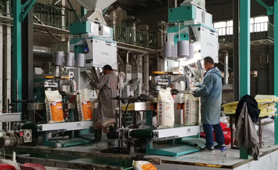 Hohes wiegendes Präzisions-KornVerpackungsmaschine DCS-50FB3+ 5 - schnelle Verpackung 50KG
