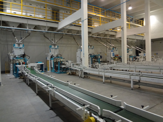 Servobewegungs-automatisierte Multifunktionspack-Bänder Converying-Roboter Palletzing-System